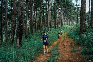 BIB: 
                            <button type="button" onclick="openModal(25666552)" class="btn btn-primary btn-sm float-right btn-popup" data-toggle="modal" data-target=".modal-high-quality">
                        <i class="fas fa-shopping-cart"></i> Add to Cart
                    </button>
                                            <button type="button" onclick="isThisMe(25666552, true)" class="btn btn-success btn-sm float-right btn-popup btn-isme hidden" data-toggle="tooltip" data-placement="bottom" title="นี่คือรูปของคุณใช่ไหม คลิกที่นี่เพื่อเอาเข้าอัลบั้ม">
                        <i class="fas fa-plus"></i> Add to album
                    </button>
                    <button type="button" onclick="isThisMe(25666552, false)" class="btn btn-warning btn-sm float-right btn-popup btn-isnotme hidden">
                        <i class="fas fa-ban"></i> Remove from album
                    </button>